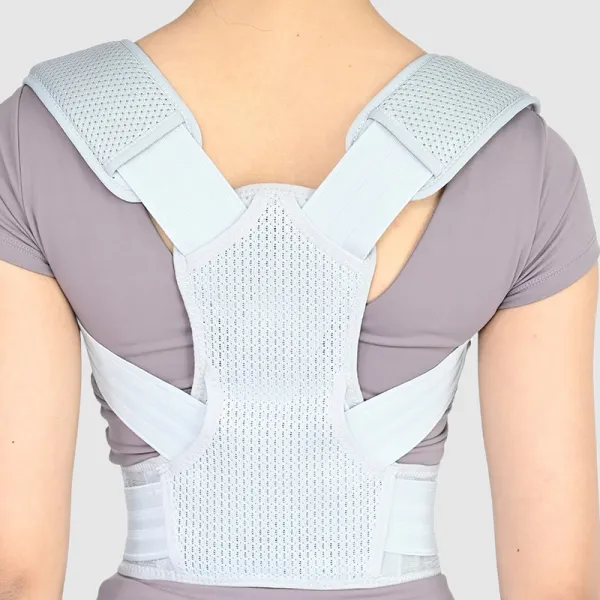 دعامة الظهر والكتف