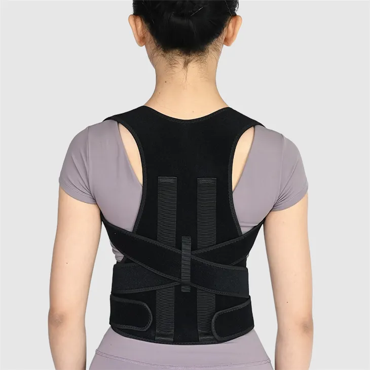حزام دعم الظهر
