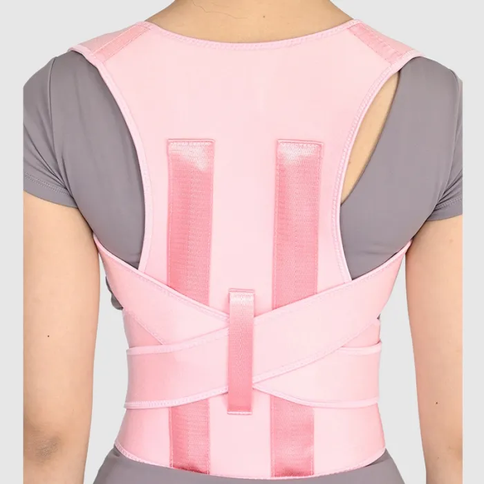 دعامة دعم الظهر