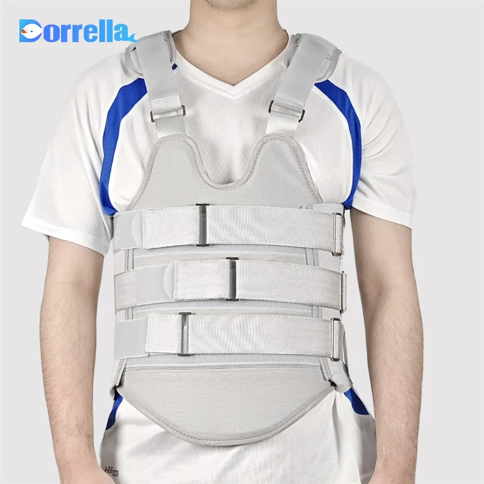 حزام الظهر أورثو