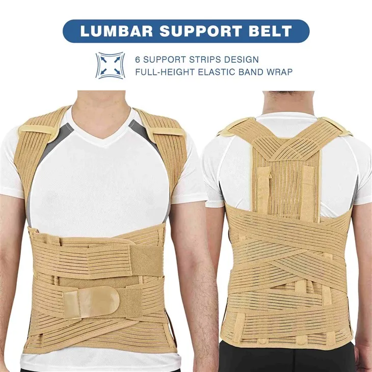 دعم الظهر العظام