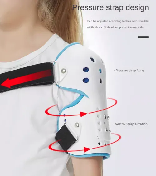 دعامة الكتف العظمية